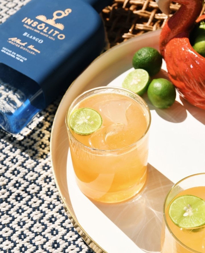 Orange Paloma